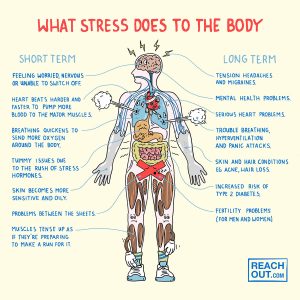 what-stress-does-to-the-body-infographic - Emmanuel Anglican College