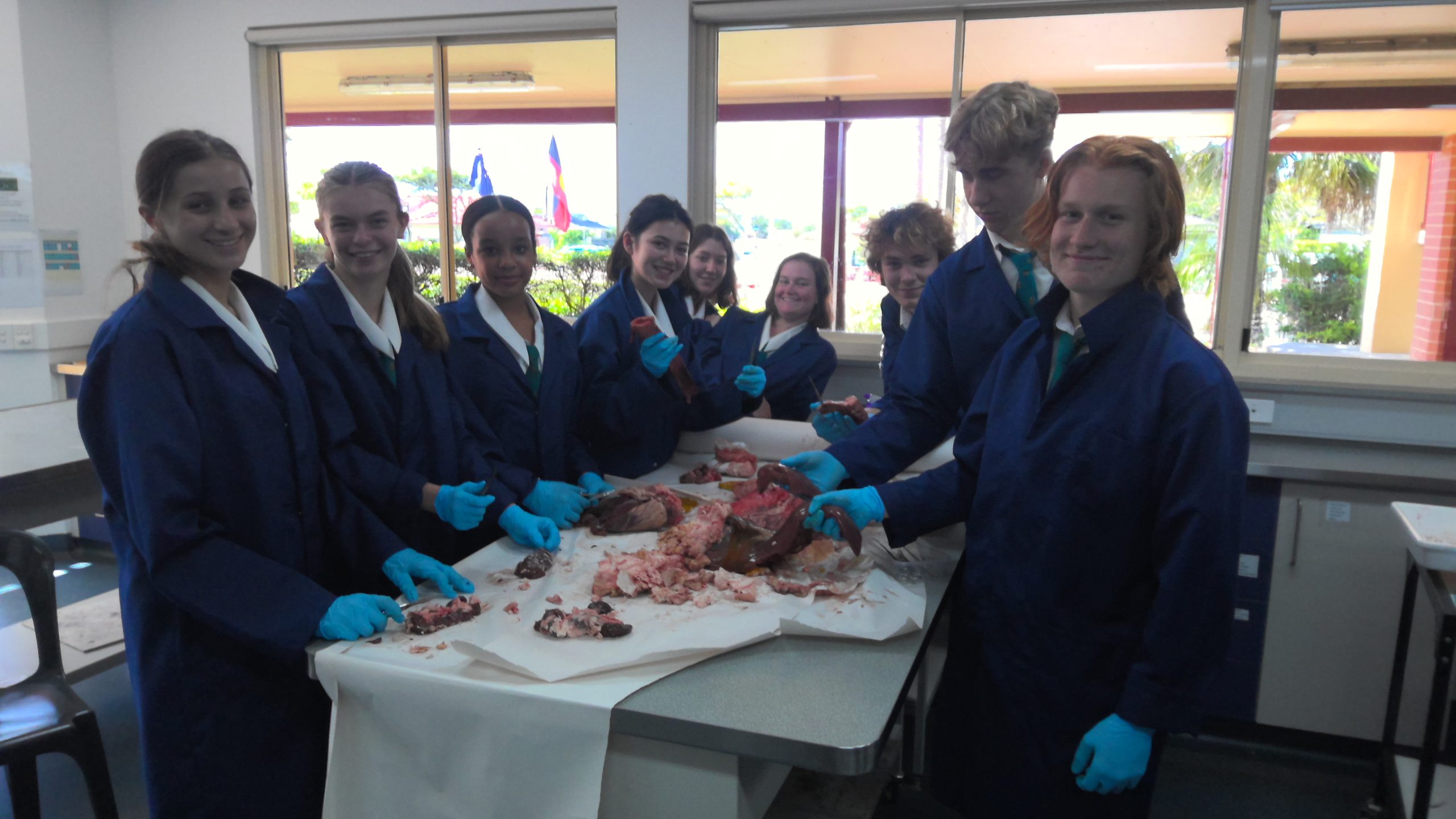 Year 11 Biology Pluck Dissection