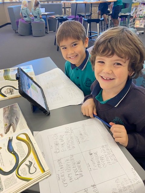 Year 1 Primary Boys Library Research