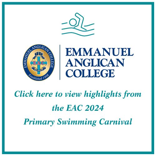 Primary Swimming Carnival Highlights