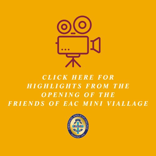 Mini Village Opening