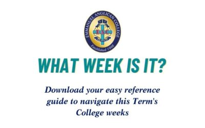 What Week Is It?